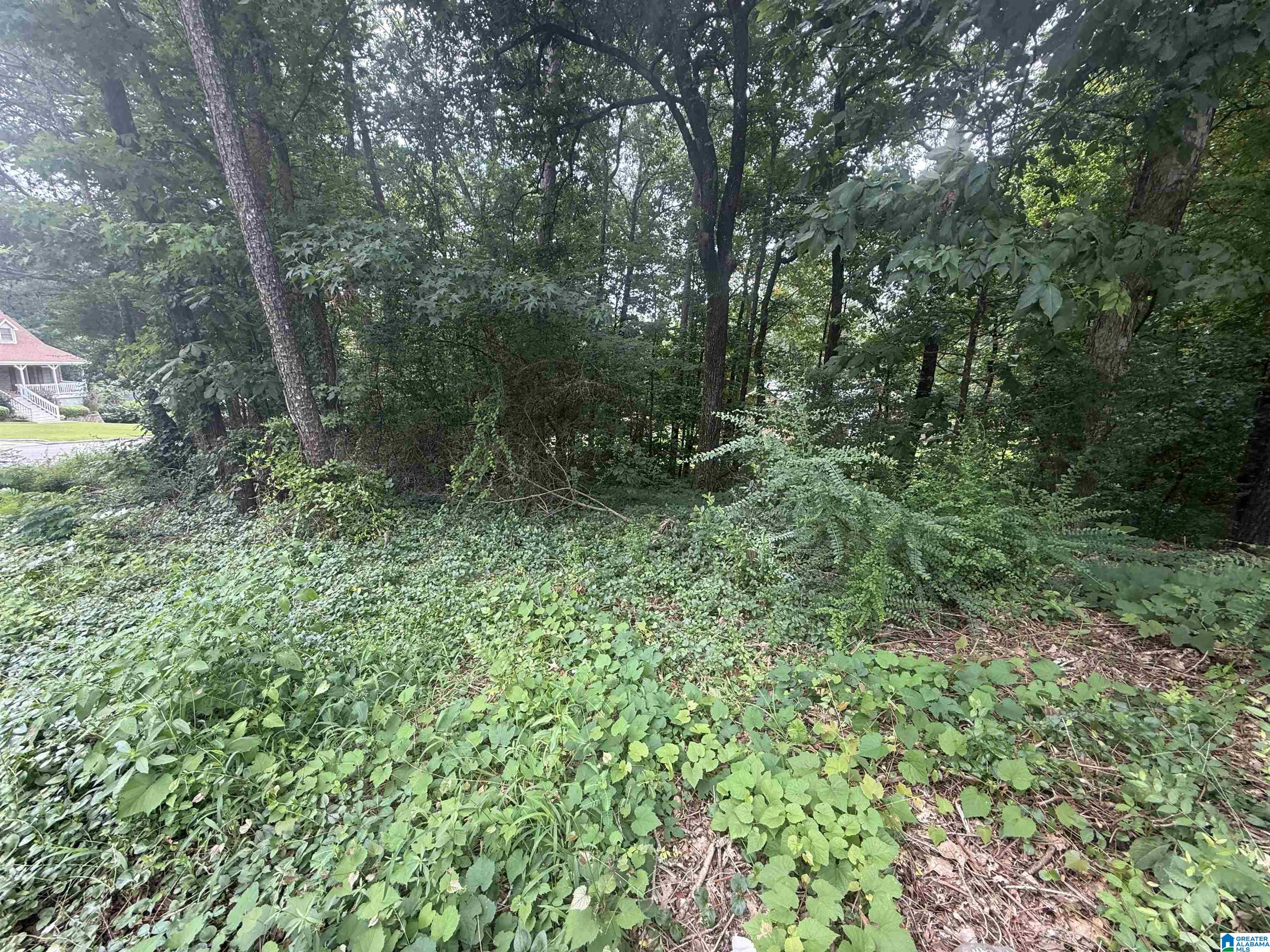 Homes for sale in Center Point, AL | 621 Woodbrook Road, Center Point, AL 35215 | MLS# 21427661