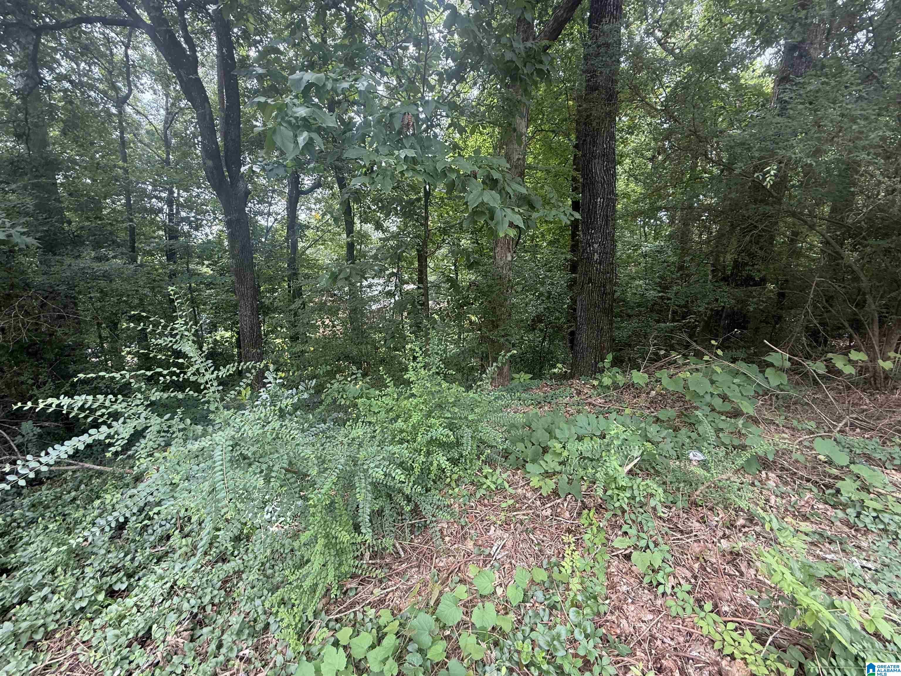 Homes for sale in Center Point, AL | 621 Woodbrook Road, Center Point, AL 35215 | MLS# 21427661