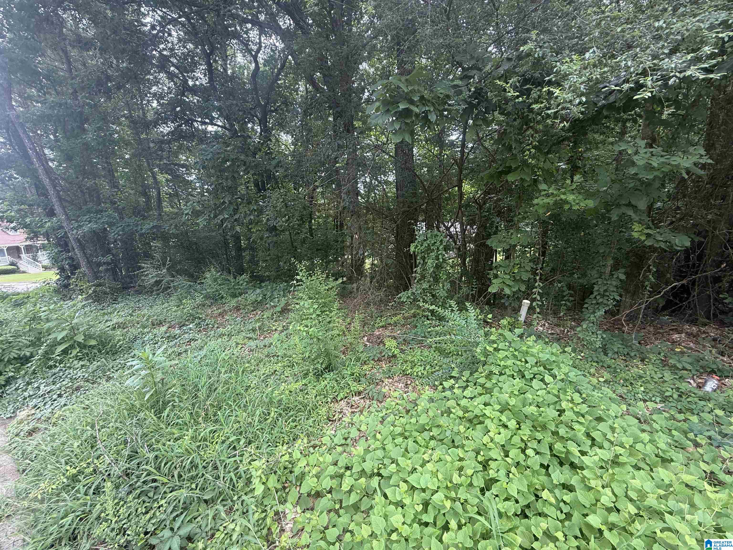 Homes for sale in Center Point, AL | 621 Woodbrook Road, Center Point, AL 35215 | MLS# 21427661