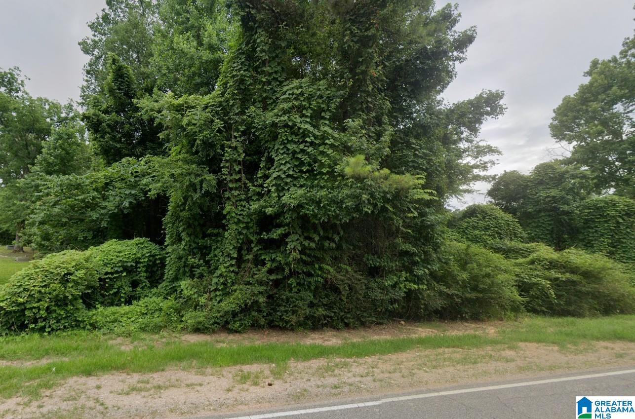 Homes for sale in Jasper, AL | 0 Sipsey Road, Jasper, AL 35504 | MLS# 21427688