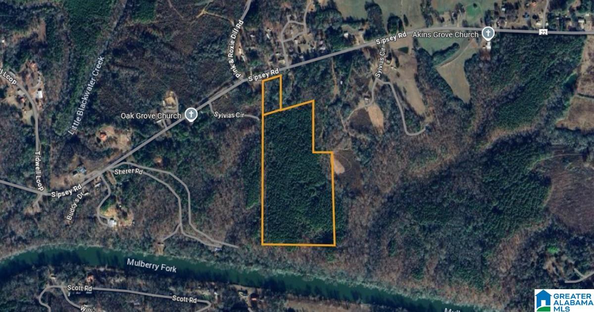 Homes for sale in Jasper, AL | 0 Sipsey Road, Jasper, AL 35504 | MLS# 21427688