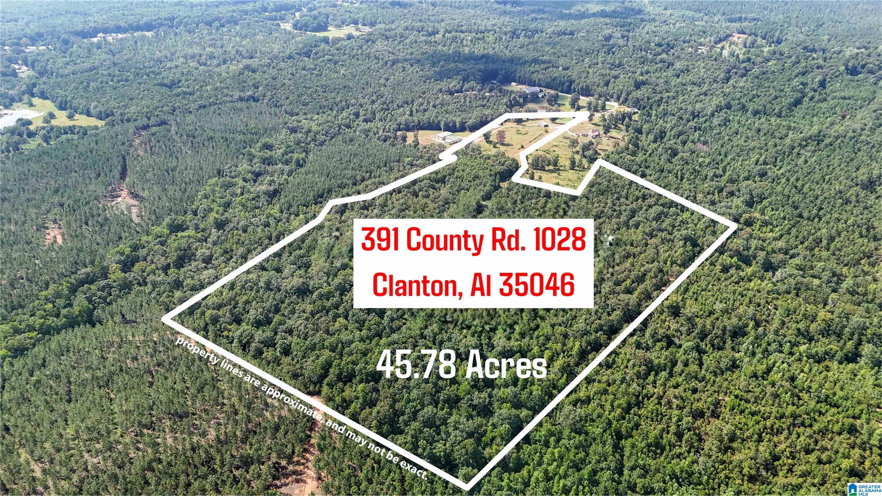 391 COUNTY ROAD 1028