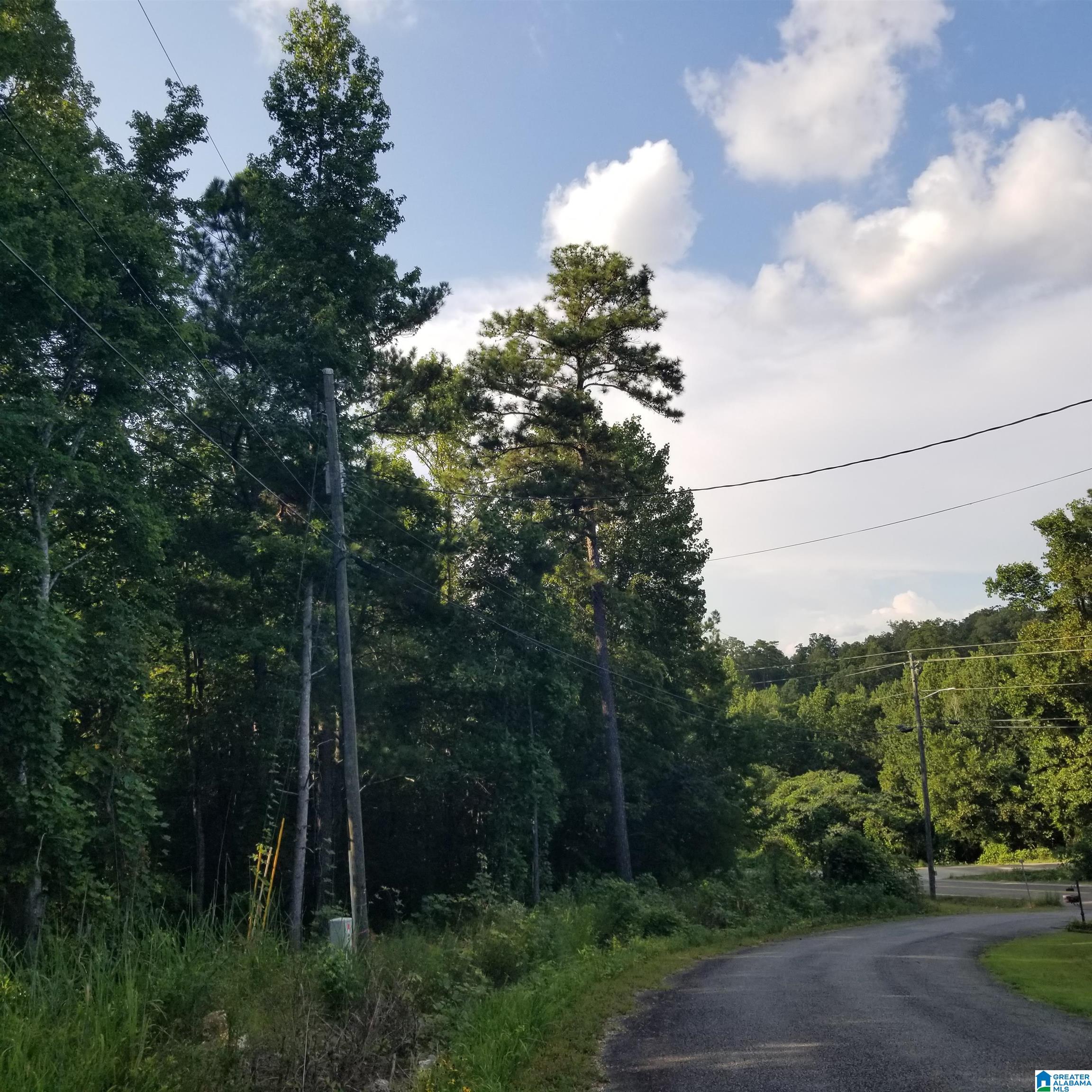 Homes for sale in Odenville, AL | 13100 Hwy 174 Poplar Dr, Odenville, AL 35120 | MLS# 21427789