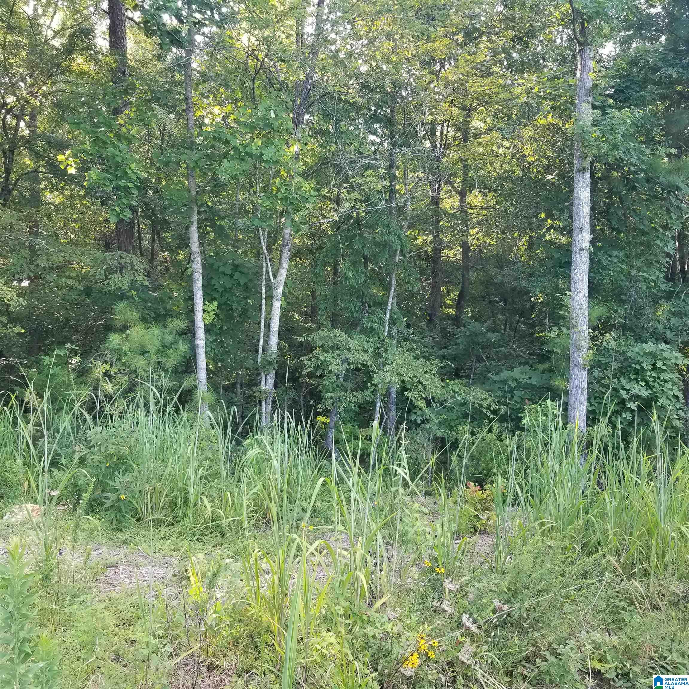 Homes for sale in Odenville, AL | 13100 Hwy 174 Poplar Dr, Odenville, AL 35120 | MLS# 21427789