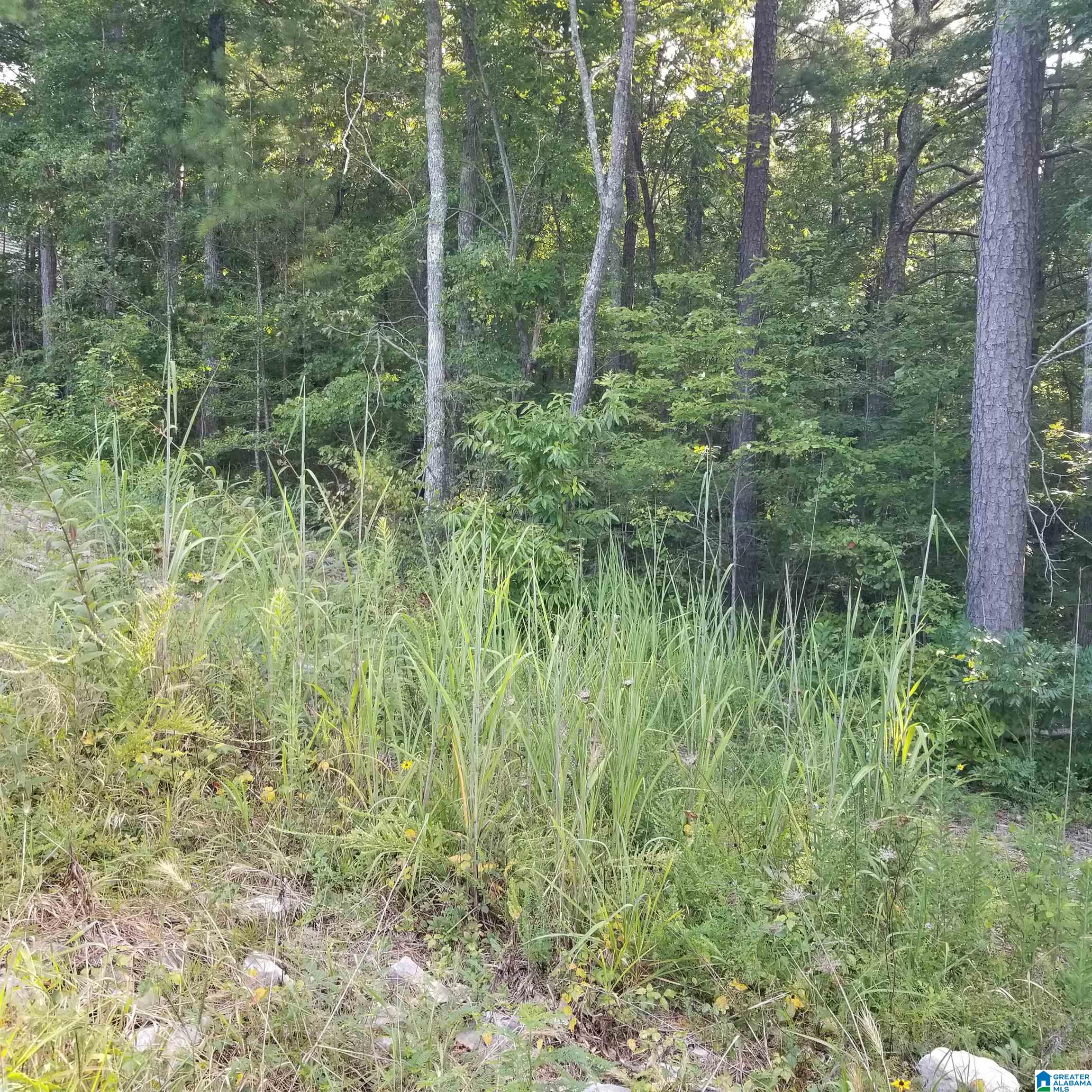 Homes for sale in Odenville, AL | 13100 Hwy 174 Poplar Dr, Odenville, AL 35120 | MLS# 21427789