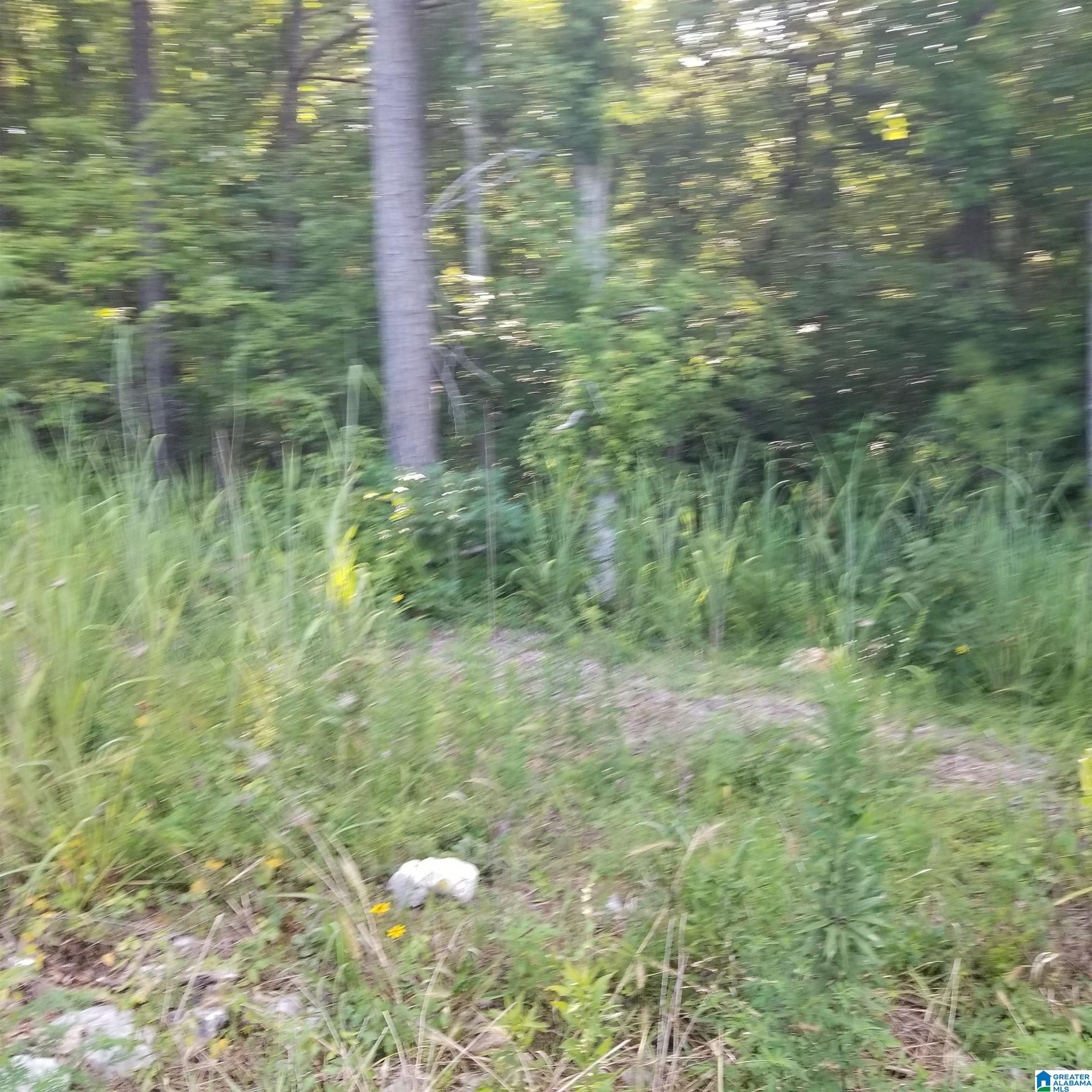 Homes for sale in Odenville, AL | 13100 Hwy 174 Poplar Dr, Odenville, AL 35120 | MLS# 21427789