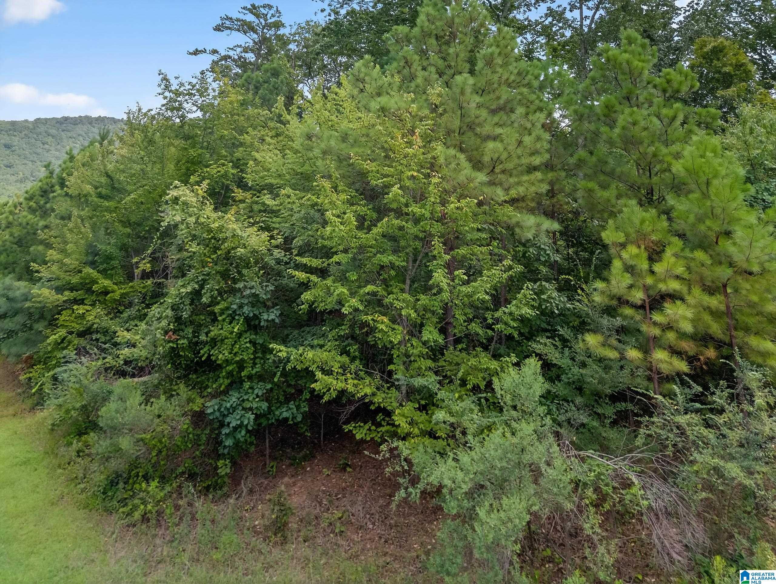 Homes for sale in Jacksonville, AL | 1715 7th Avenue Ne, Jacksonville, AL 36265 | MLS# 21427997