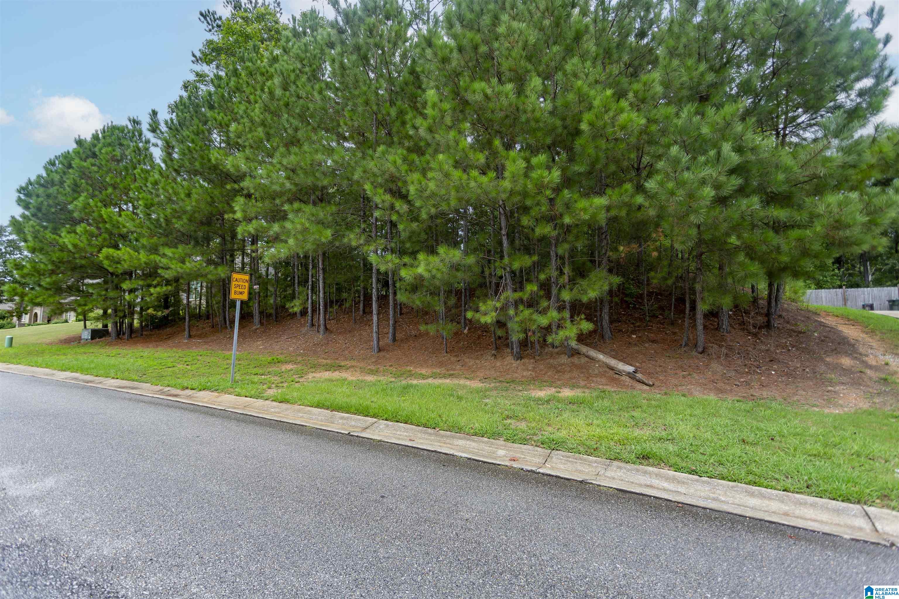 Homes for sale in Chelsea, AL | 293 Woodbridge Trail, Chelsea, AL 35043 | MLS# 21428091