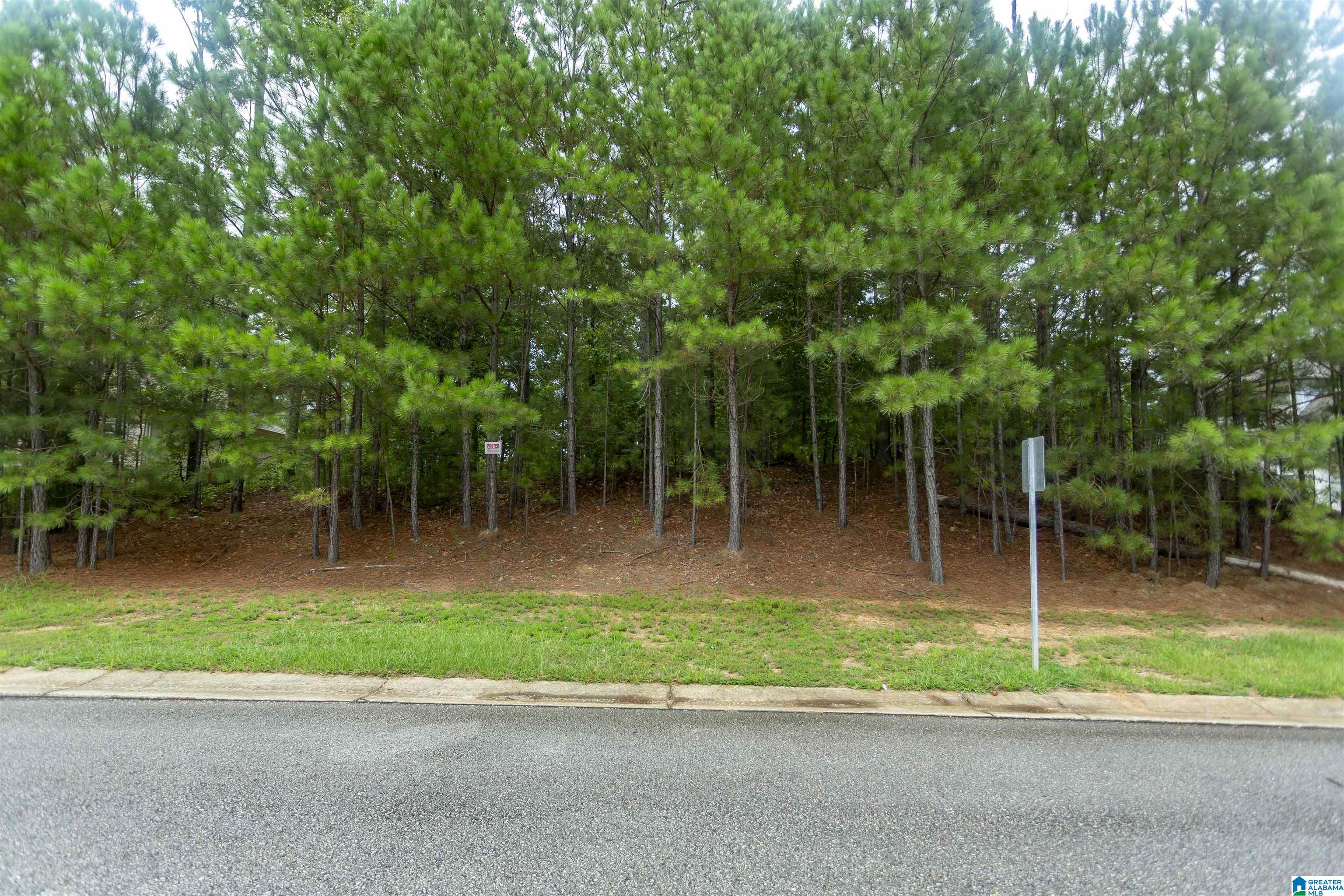 Homes for sale in Chelsea, AL | 293 Woodbridge Trail, Chelsea, AL 35043 | MLS# 21428091