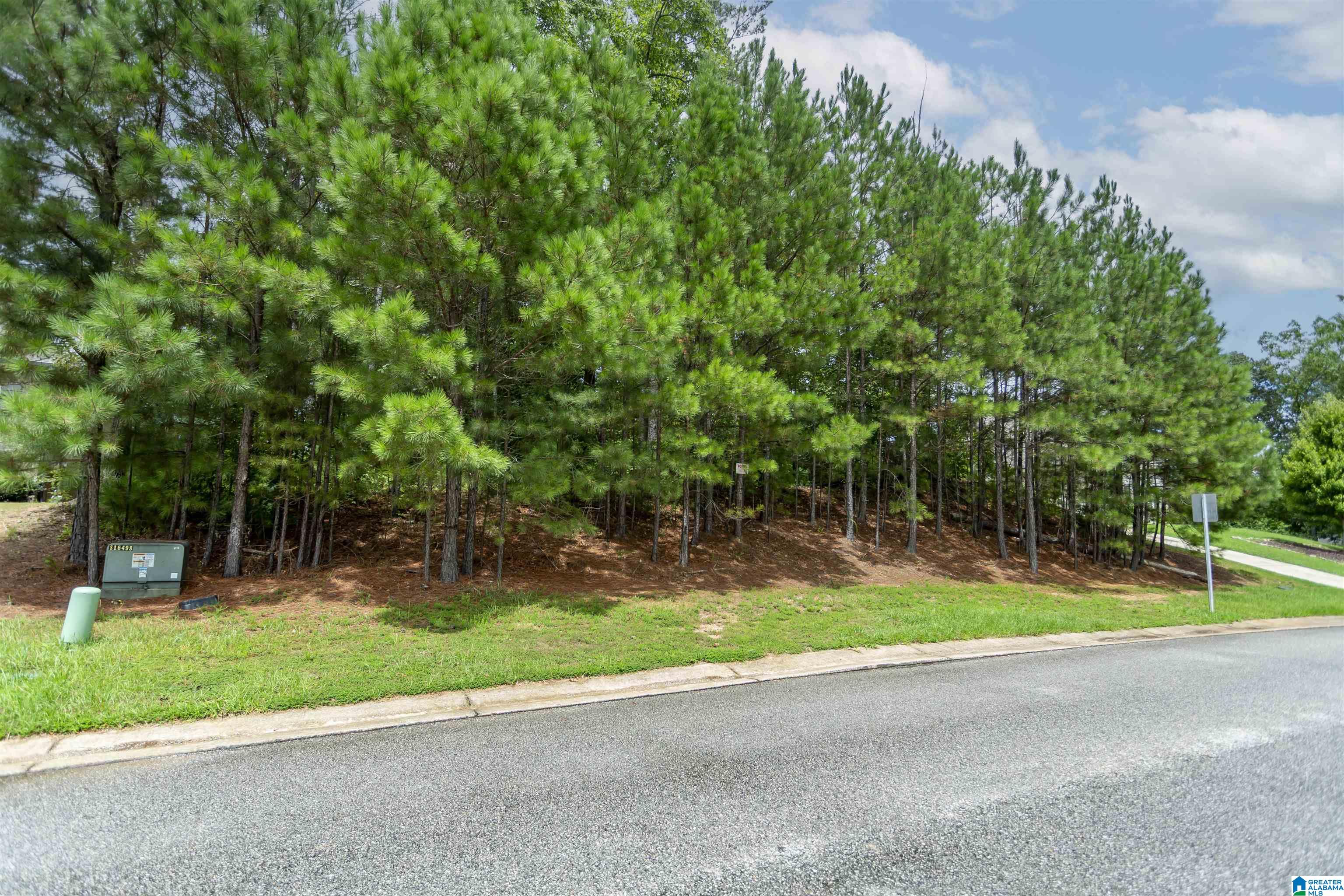 Homes for sale in Chelsea, AL | 293 Woodbridge Trail, Chelsea, AL 35043 | MLS# 21428091