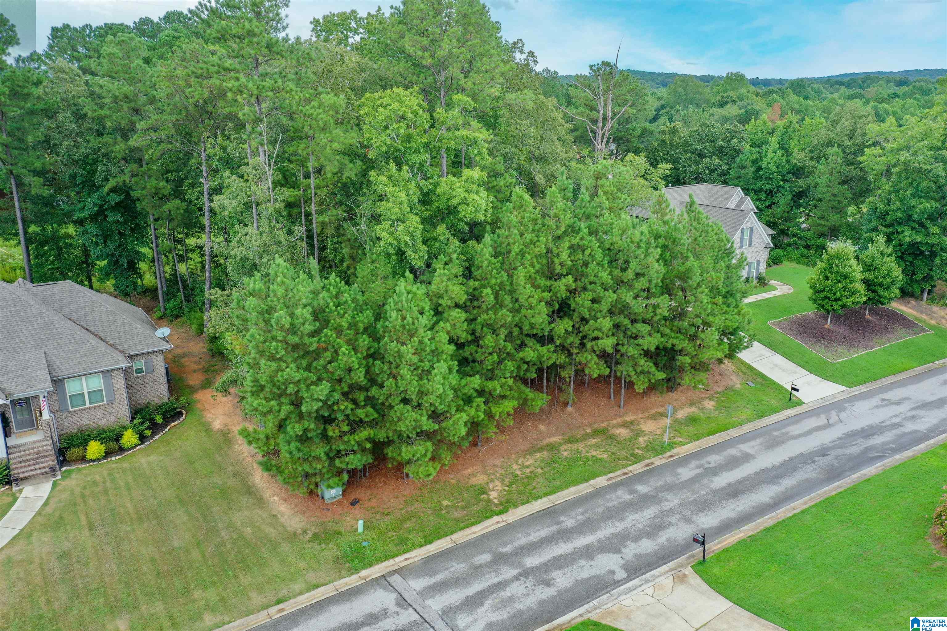 Homes for sale in Chelsea, AL | 293 Woodbridge Trail, Chelsea, AL 35043 | MLS# 21428091