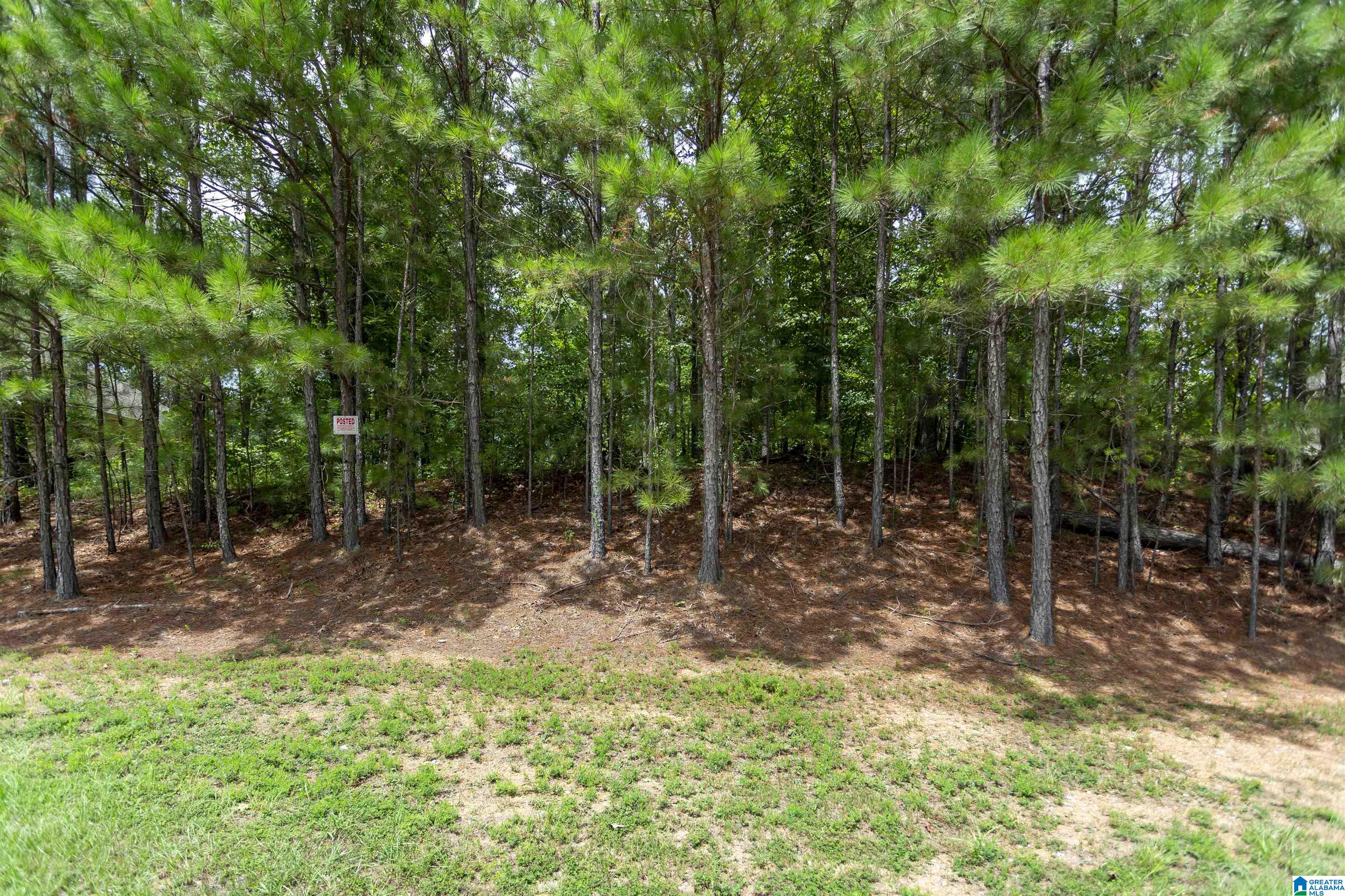 Homes for sale in Chelsea, AL | 293 Woodbridge Trail, Chelsea, AL 35043 | MLS# 21428091