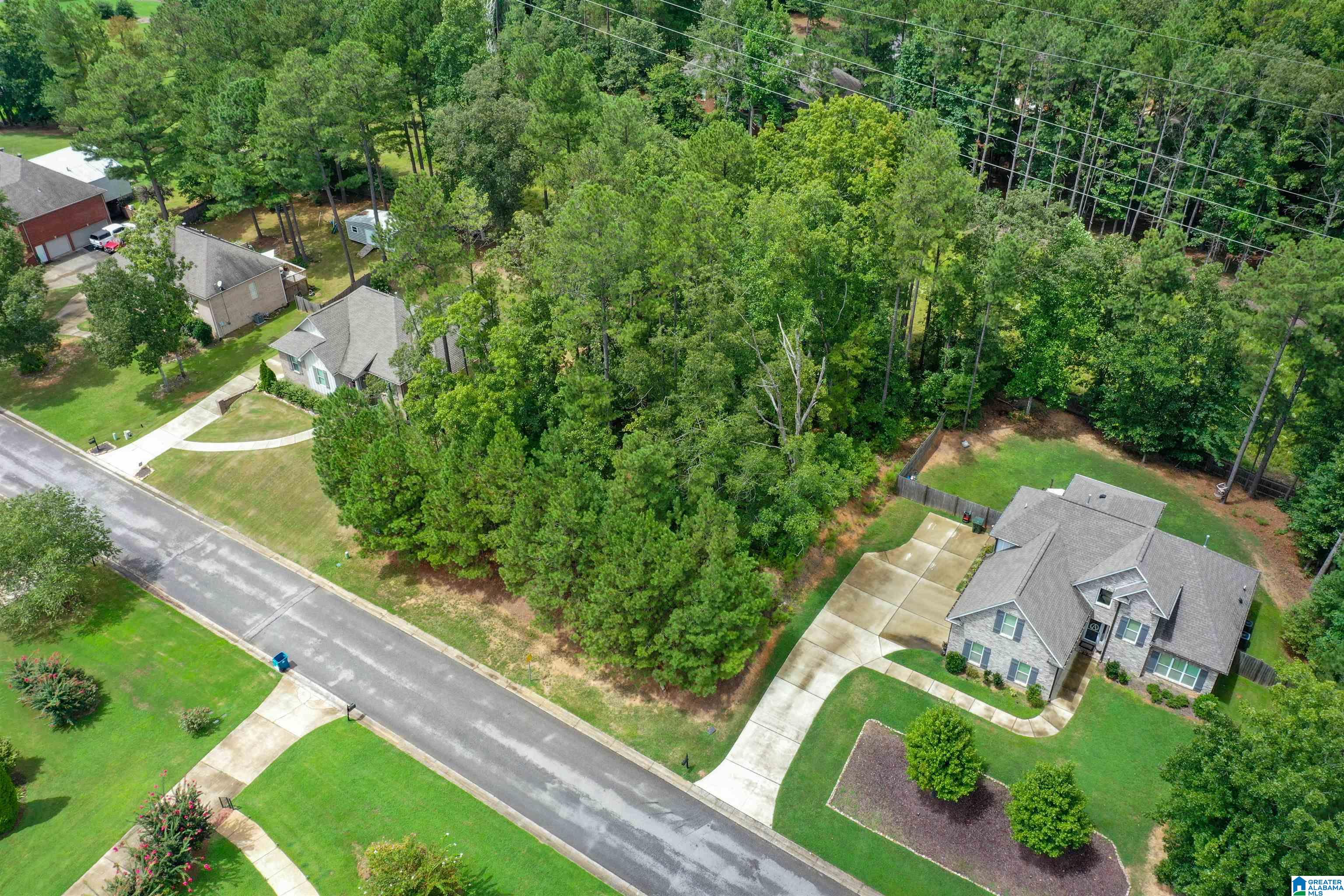 Homes for sale in Chelsea, AL | 293 Woodbridge Trail, Chelsea, AL 35043 | MLS# 21428091