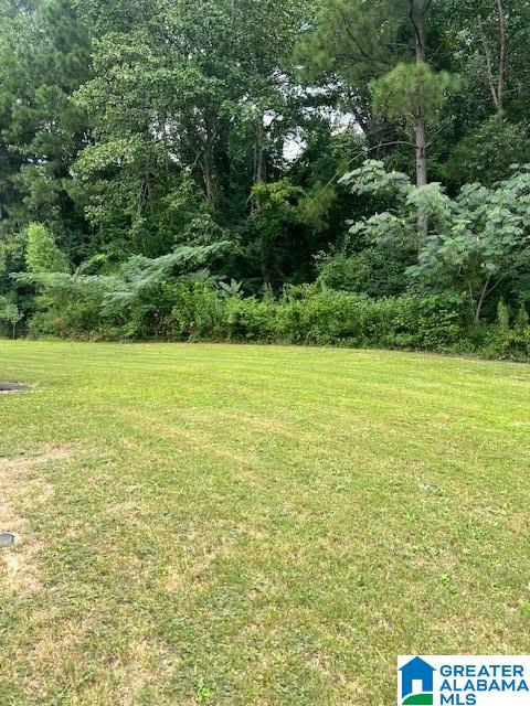 Homes for sale in Brookwood, AL | 11371 Crimson Ridge Road, Brookwood, AL 35444 | MLS# 21428164