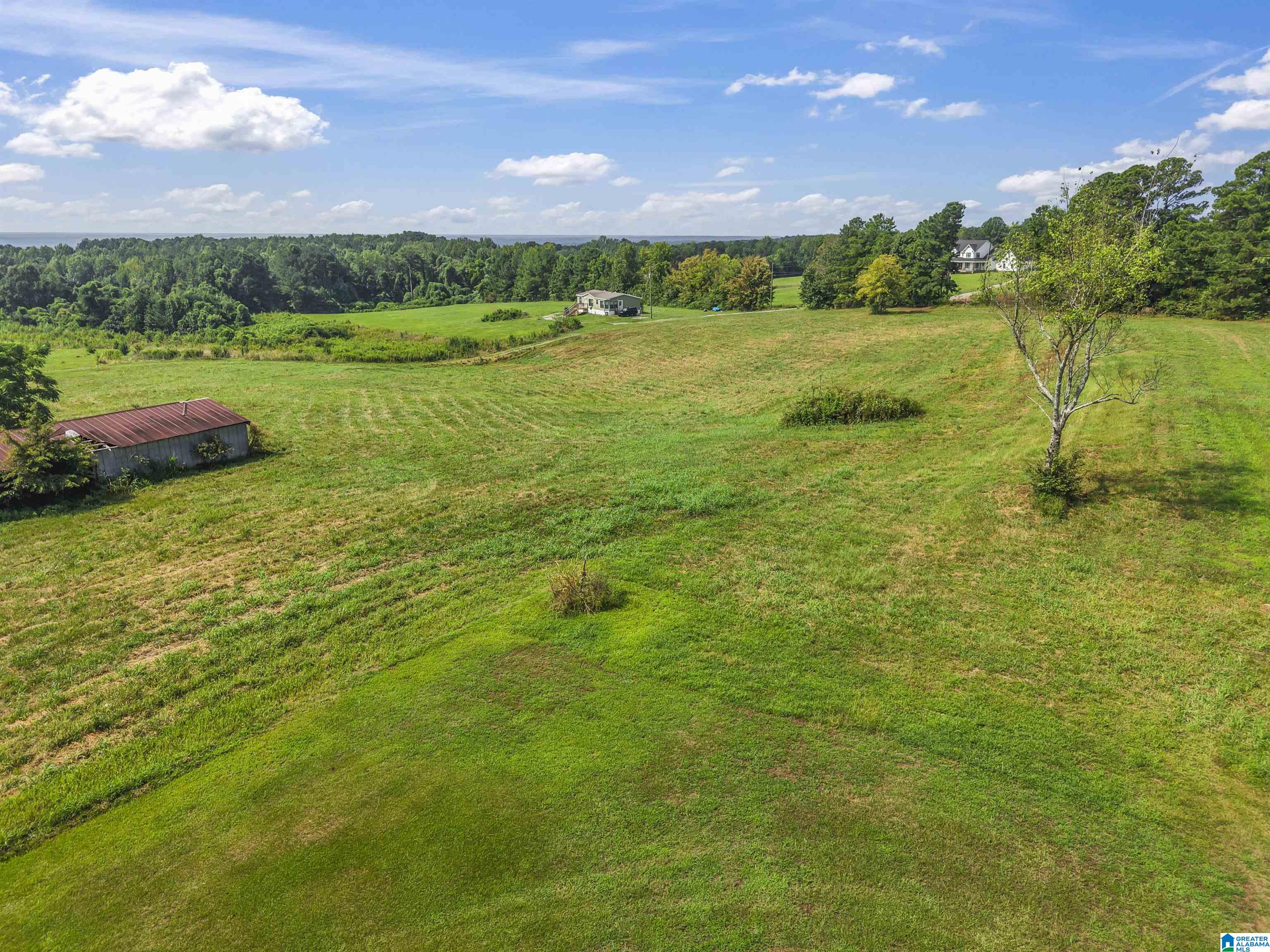 Homes for sale in Hayden, AL | 250 Runway Dr, Hayden, AL 35079 | MLS# 21428392
