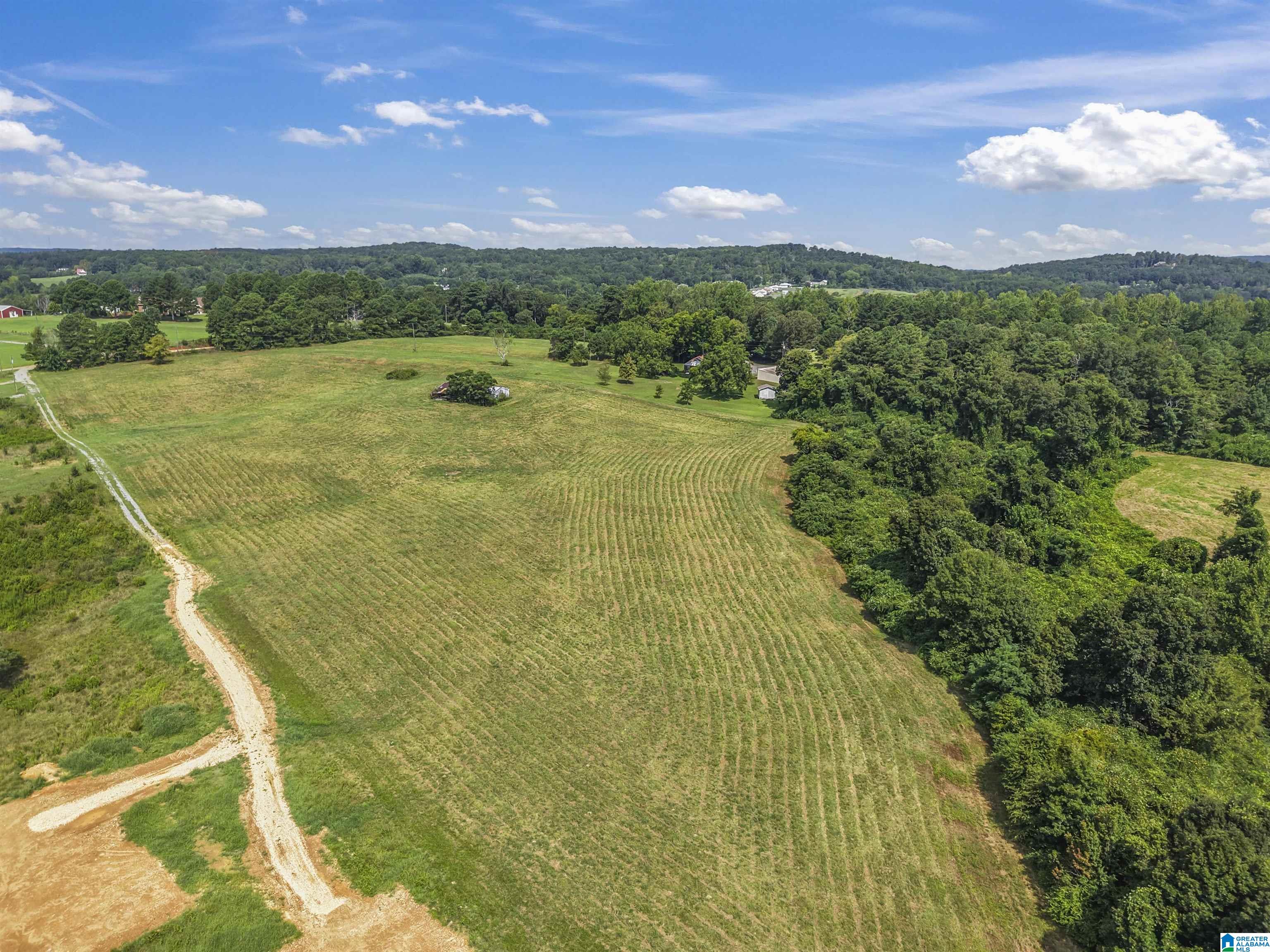 Homes for sale in Hayden, AL | 250 Runway Dr, Hayden, AL 35079 | MLS# 21428392