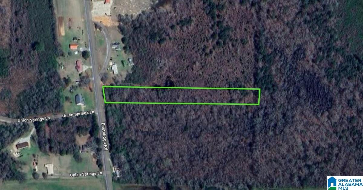 Homes for sale in Munford, AL | 0 Eastaboga Road, Munford, AL 36268 | MLS# 21428499