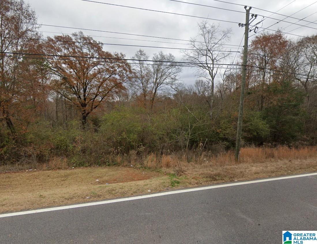 Homes for sale in Munford, AL | 0 Eastaboga Road, Munford, AL 36268 | MLS# 21428499