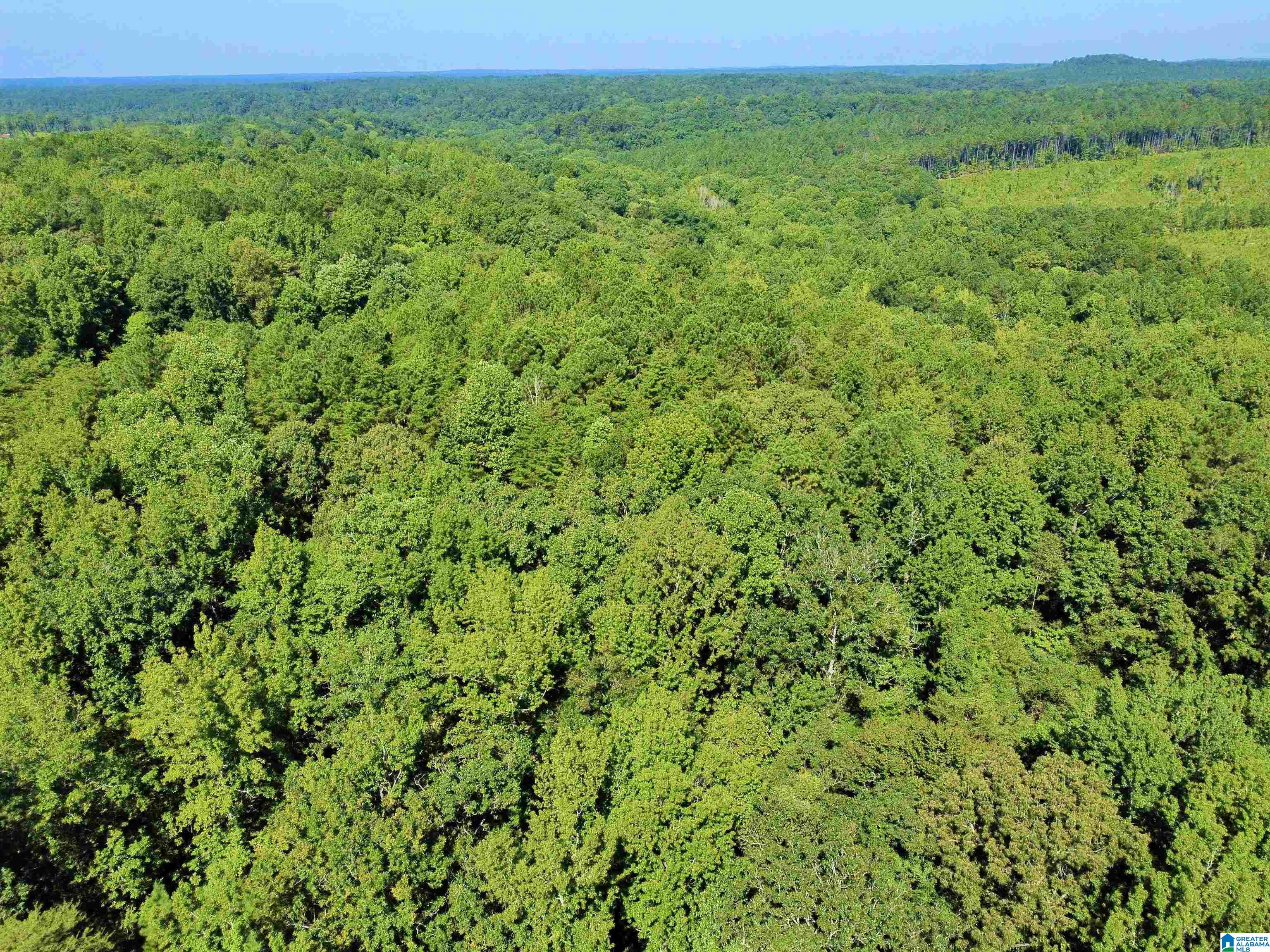 Homes for sale in Berry, AL | 11373 Evanstown Road, Berry, AL 35546 | MLS# 21428537