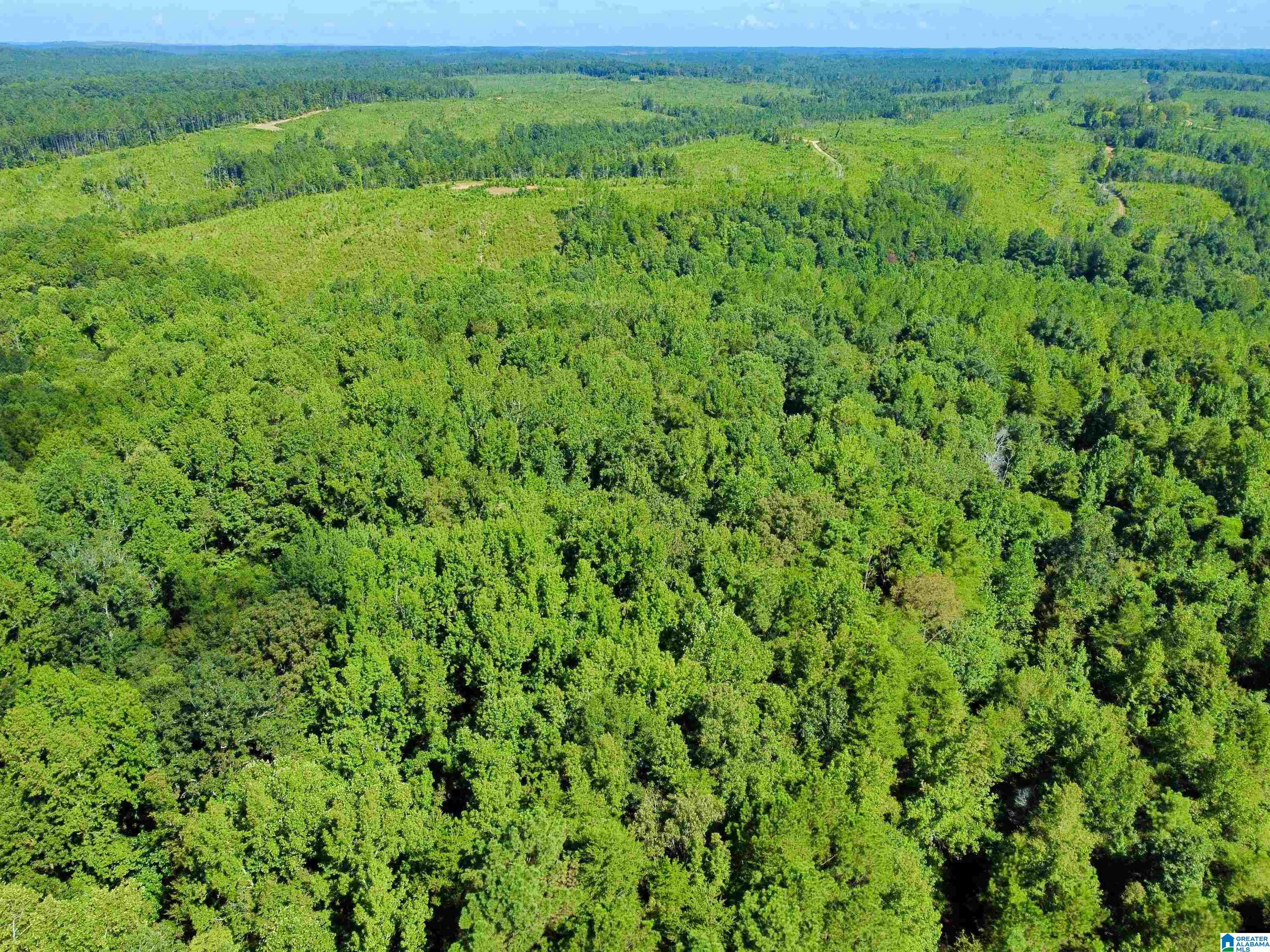 Homes for sale in Berry, AL | 11373 Evanstown Road, Berry, AL 35546 | MLS# 21428537