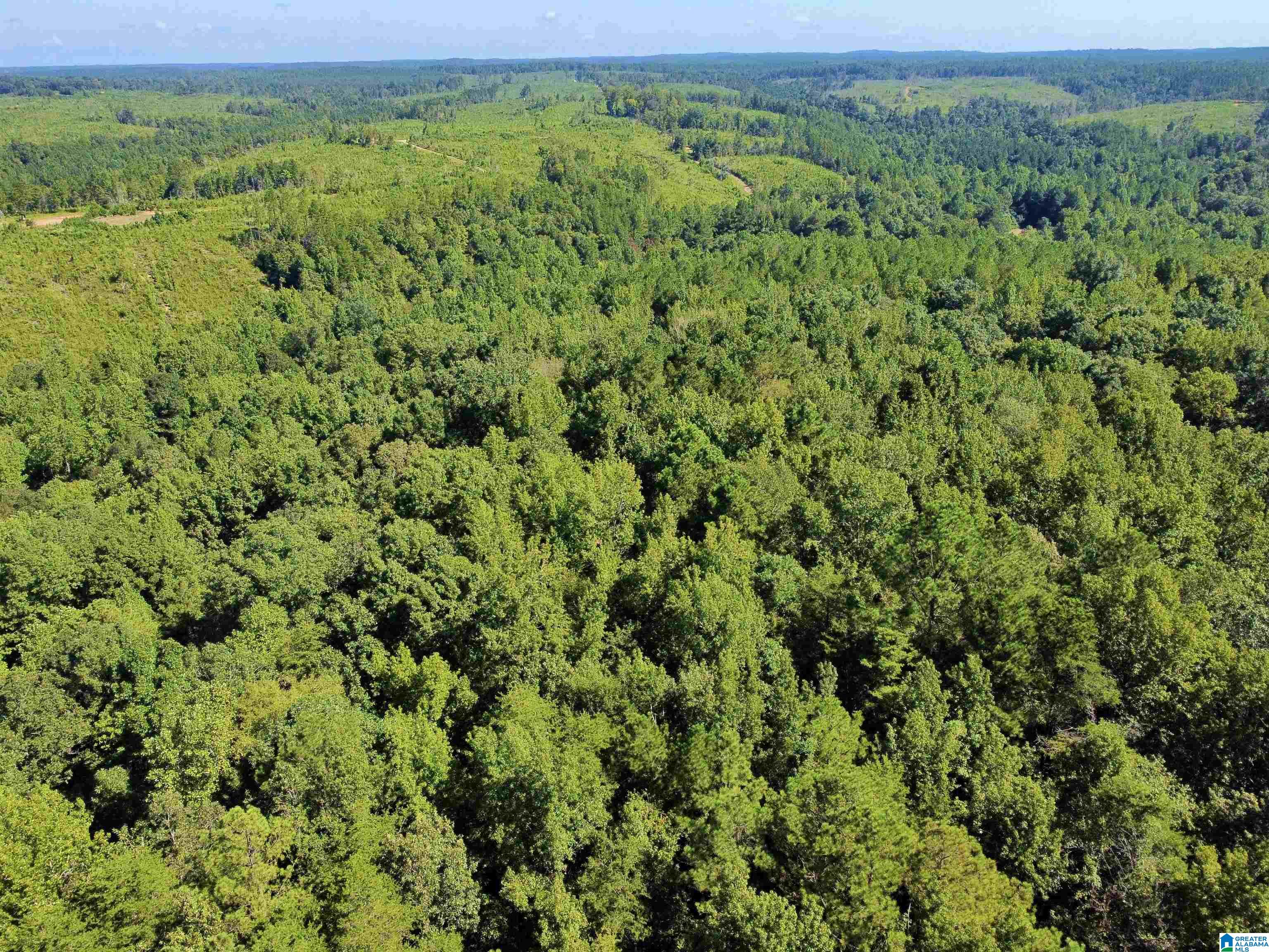 Homes for sale in Berry, AL | 11373 Evanstown Road, Berry, AL 35546 | MLS# 21428537