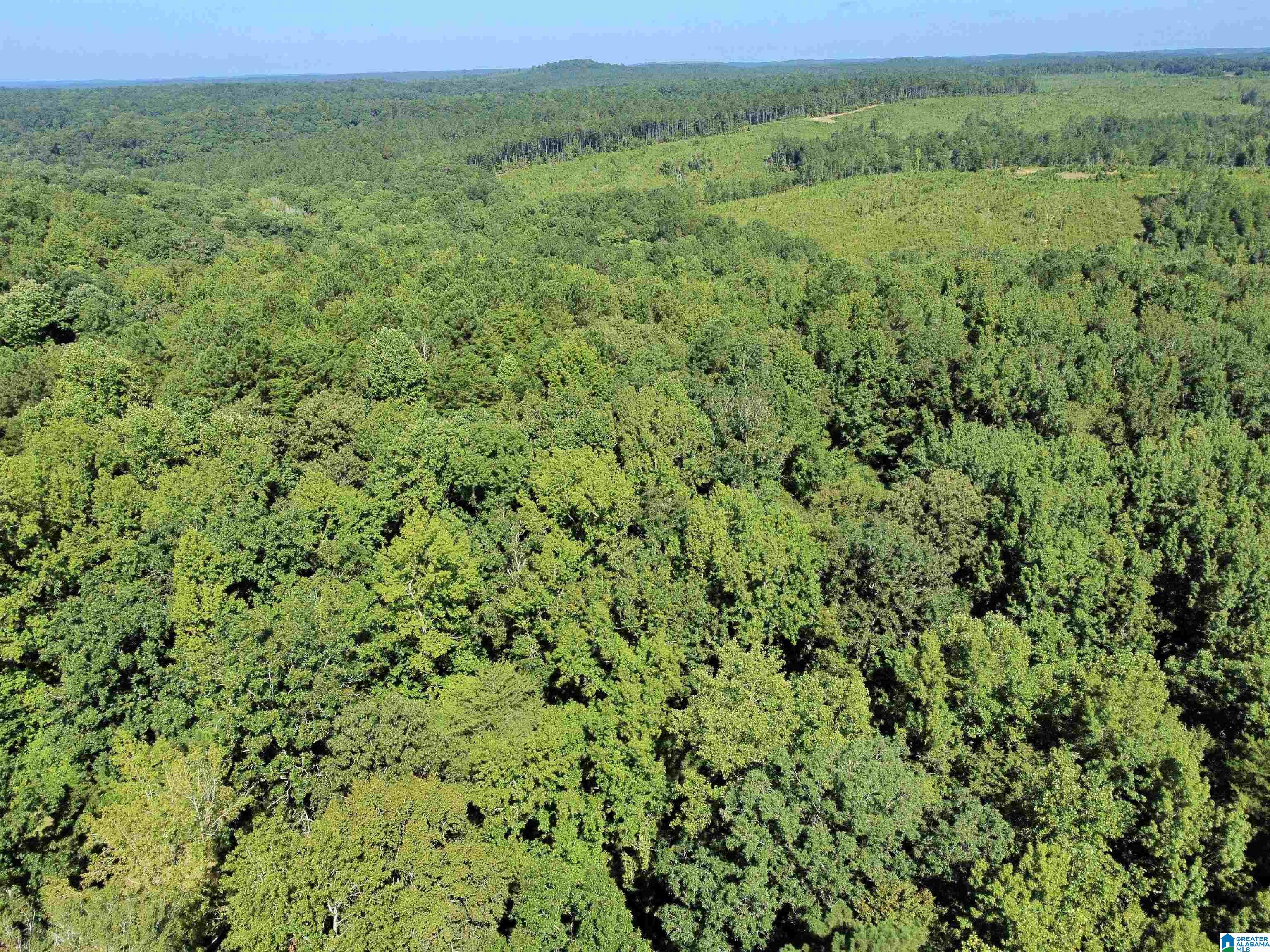 Homes for sale in Berry, AL | 11373 Evanstown Road, Berry, AL 35546 | MLS# 21428537