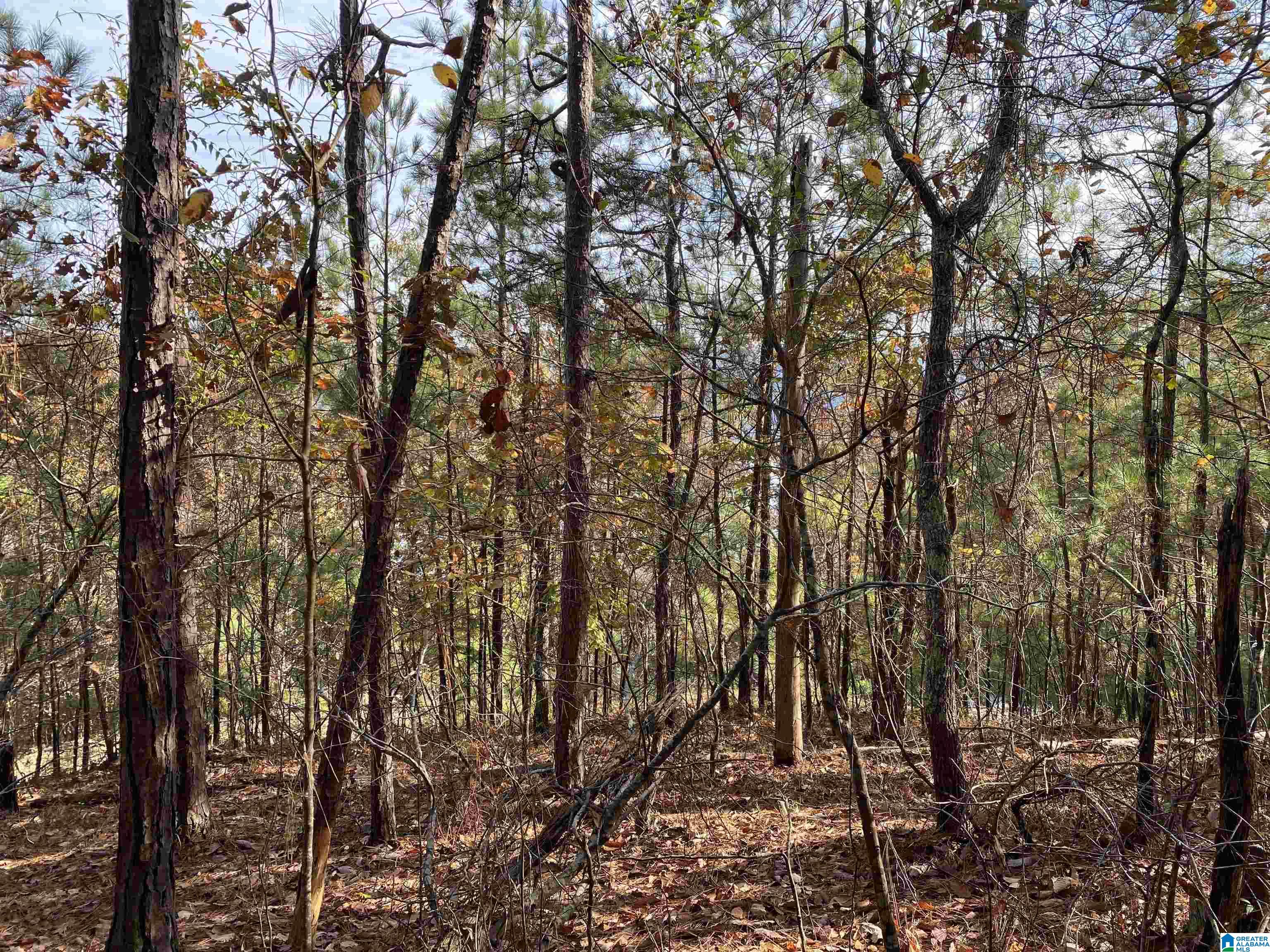 Homes for sale in Columbiana, AL | 914 Paradise Point Dr, Columbiana, AL 35051 | MLS# 21428614