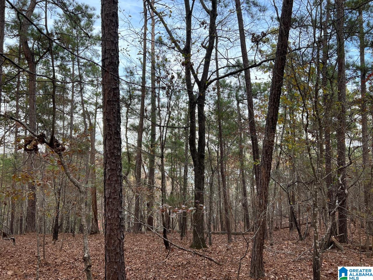 Homes for sale in Columbiana, AL | 914 Paradise Point Dr, Columbiana, AL 35051 | MLS# 21428614