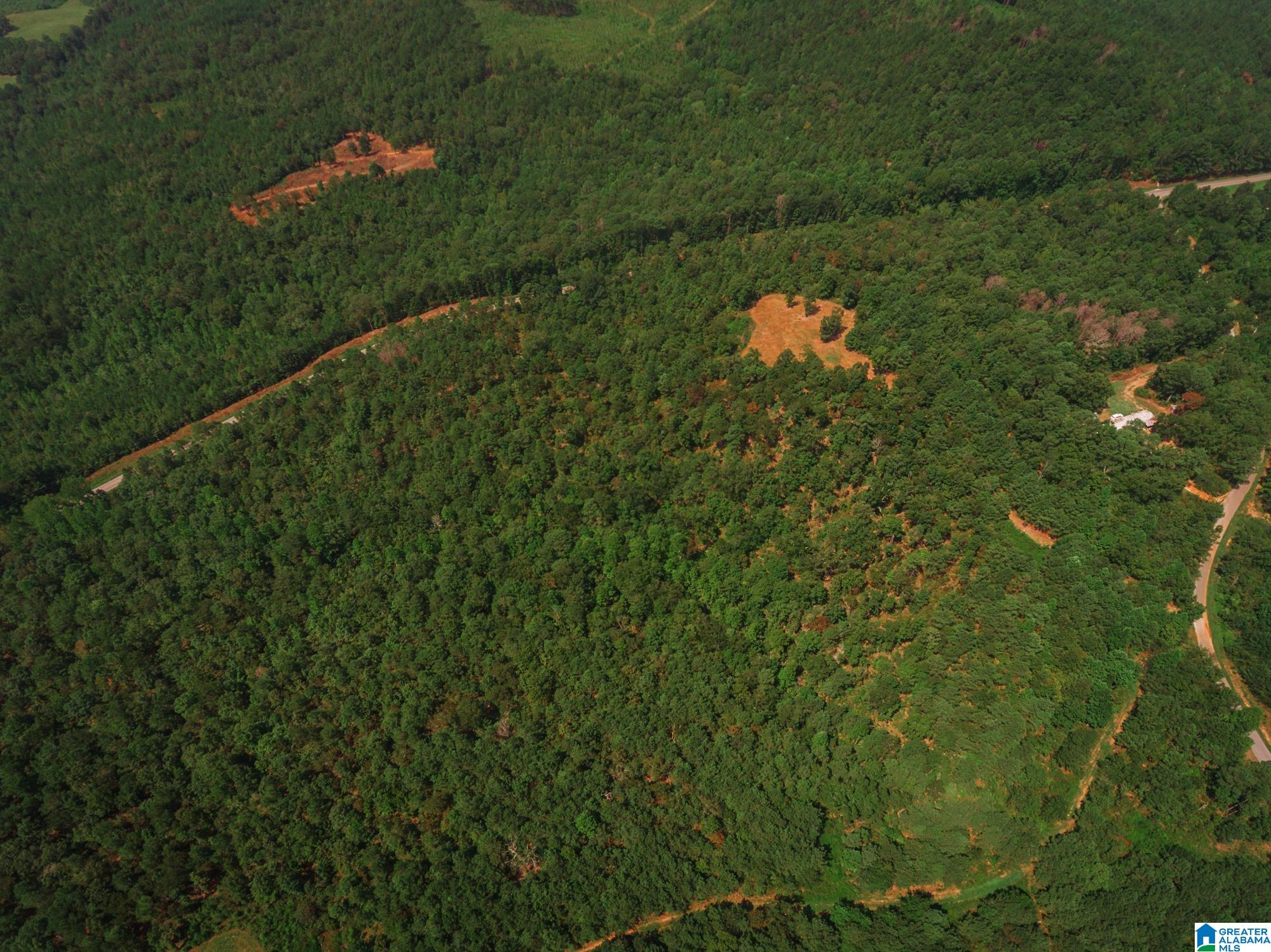 Homes for sale in Ashland, AL | 200 Tablee Lane, Ashland, AL 36251 | MLS# 21428670