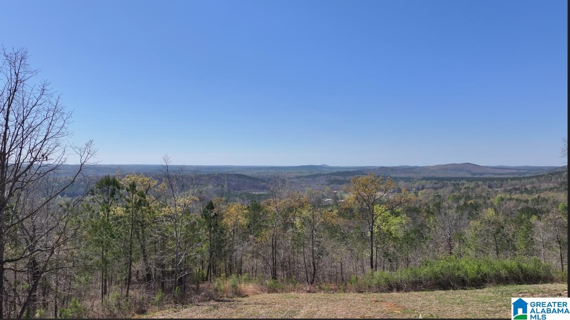 Homes for sale in Ashland, AL | 200 Tablee Lane, Ashland, AL 36251 | MLS# 21428670