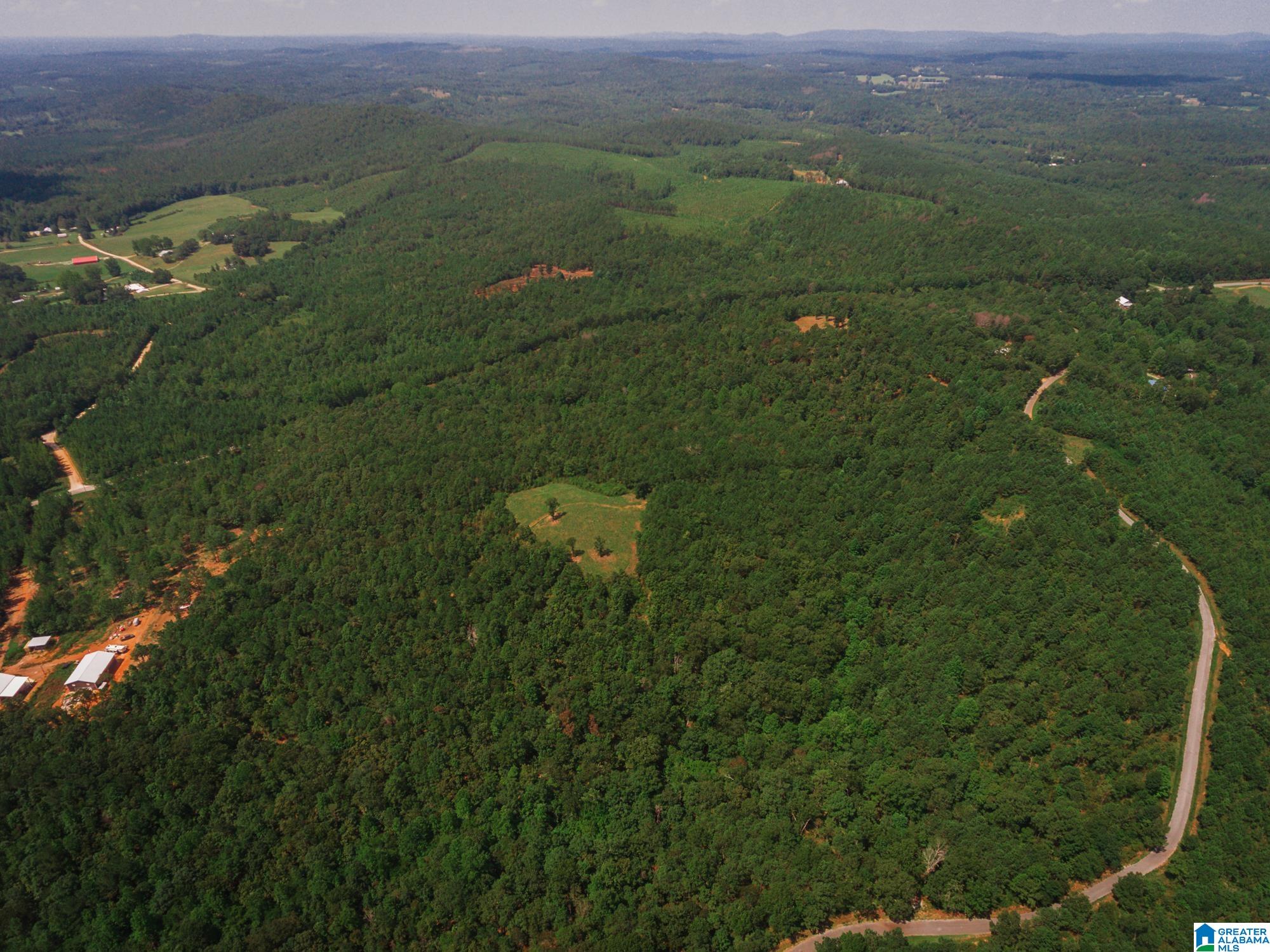 Homes for sale in Ashland, AL | 200 Tablee Lane, Ashland, AL 36251 | MLS# 21428670