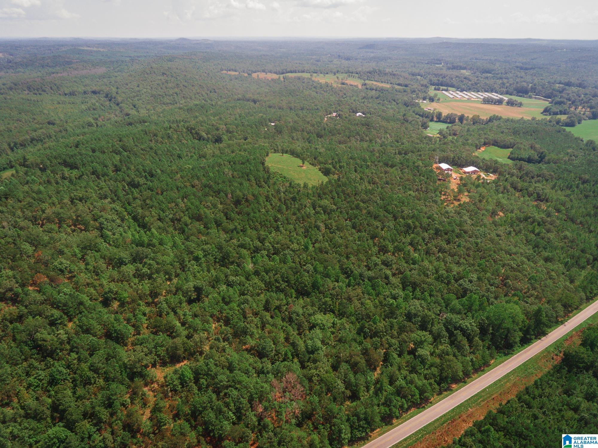 Homes for sale in Ashland, AL | 200 Tablee Lane, Ashland, AL 36251 | MLS# 21428670