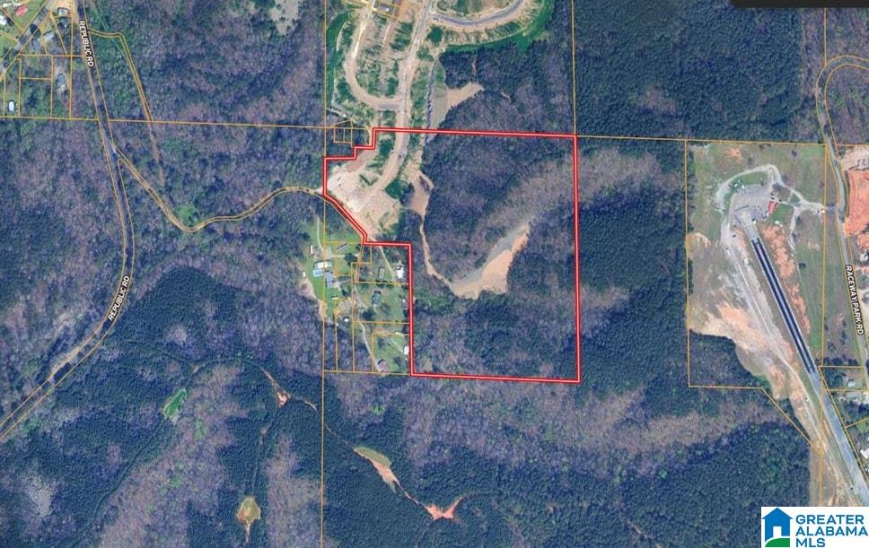 Homes for sale in Brookside, AL | 0000 Brooks Dr, Brookside, AL 35068 | MLS# 21428729