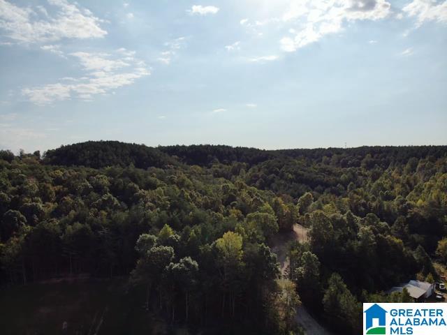 Homes for sale in Brookside, AL | 0000 Brooks Dr, Brookside, AL 35068 | MLS# 21428729