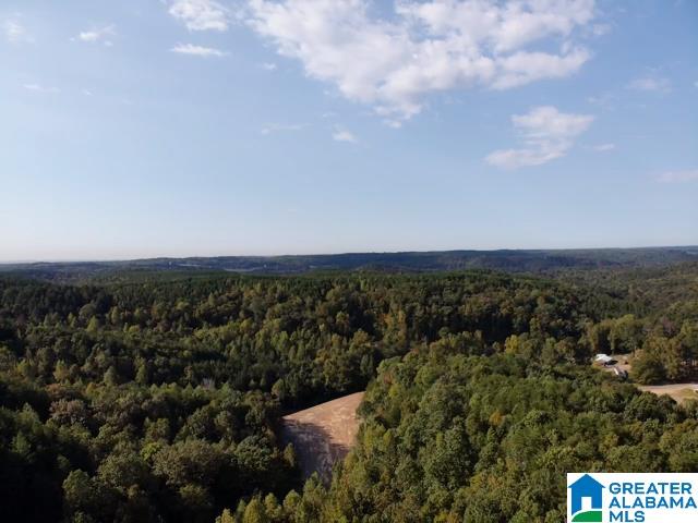 Homes for sale in Brookside, AL | 0000 Brooks Dr, Brookside, AL 35068 | MLS# 21428729