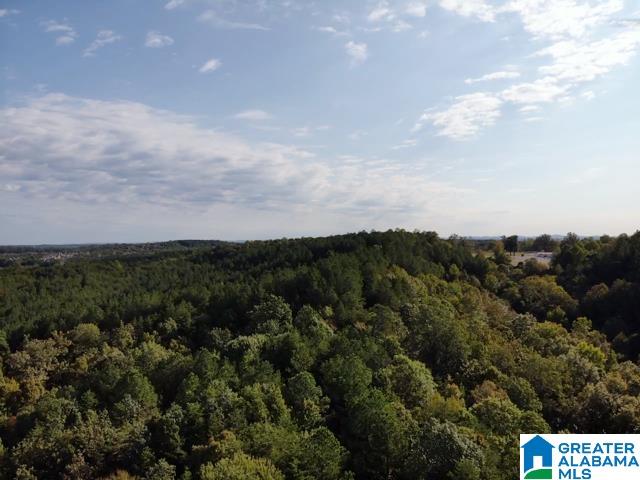 Homes for sale in Brookside, AL | 0000 Brooks Dr, Brookside, AL 35068 | MLS# 21428729