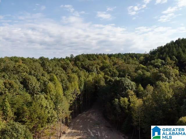 Homes for sale in Brookside, AL | 0000 Brooks Dr, Brookside, AL 35068 | MLS# 21428729
