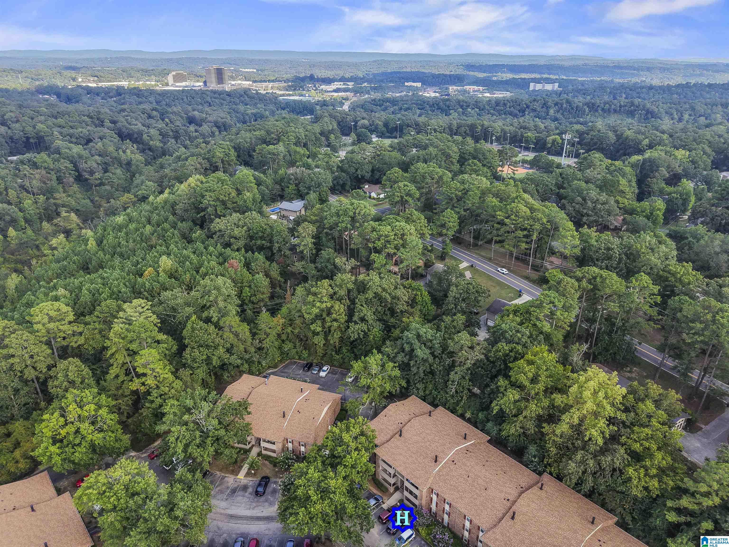 Homes for sale in Hoover, AL | 1701 Patton Creek Lane #1701, Hoover, AL 35226 | MLS# 21429022