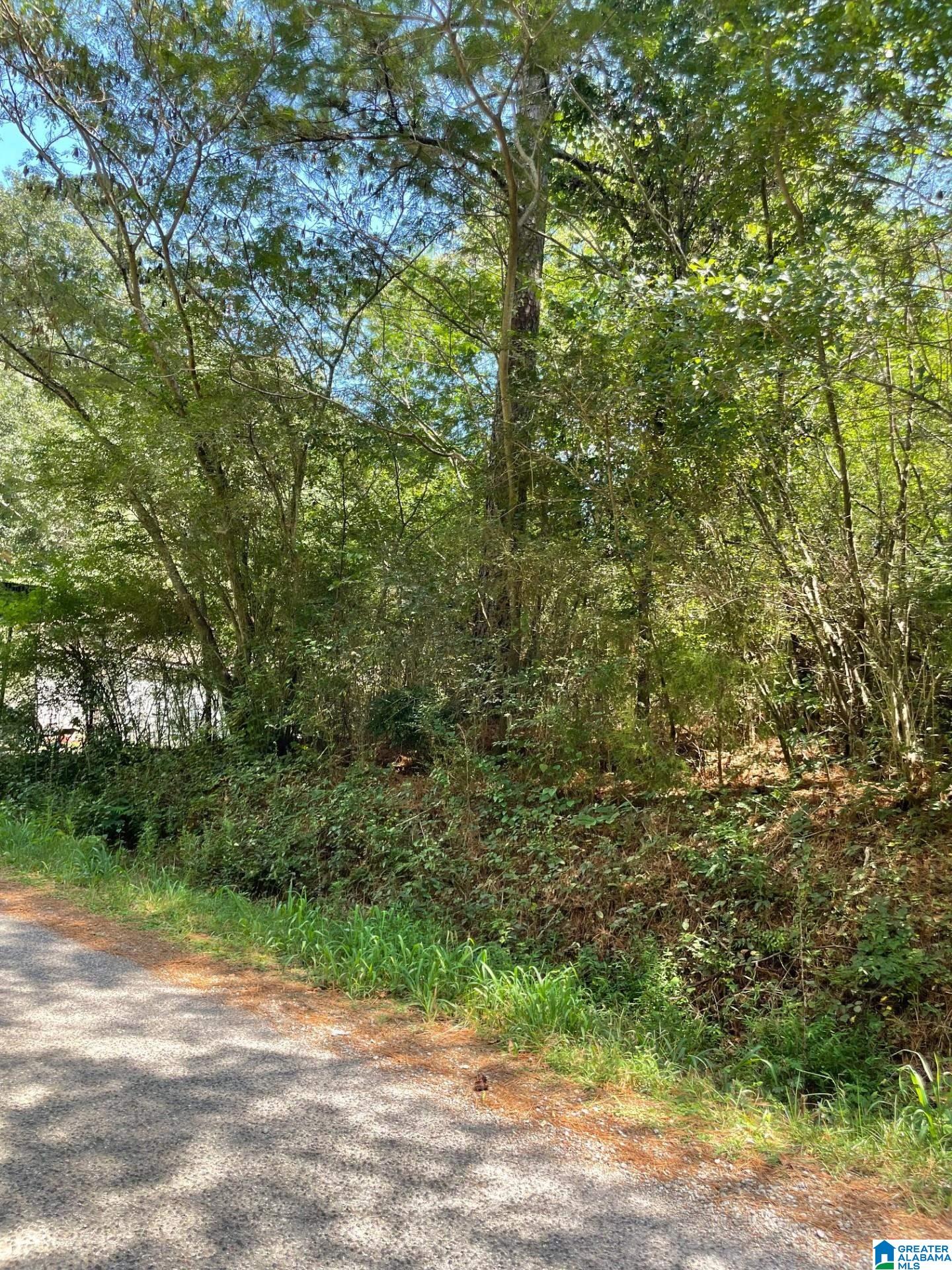 Homes for sale in Adamsville, AL | 3449 Honeycutt Road, Adamsville, AL 35005 | MLS# 21429061