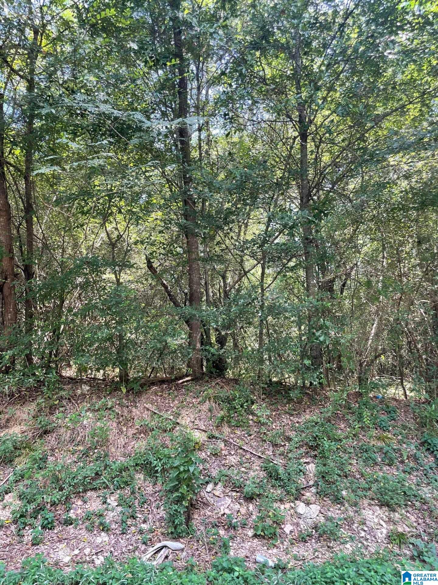 Homes for sale in Adamsville, AL | 3449 Honeycutt Road, Adamsville, AL 35005 | MLS# 21429061