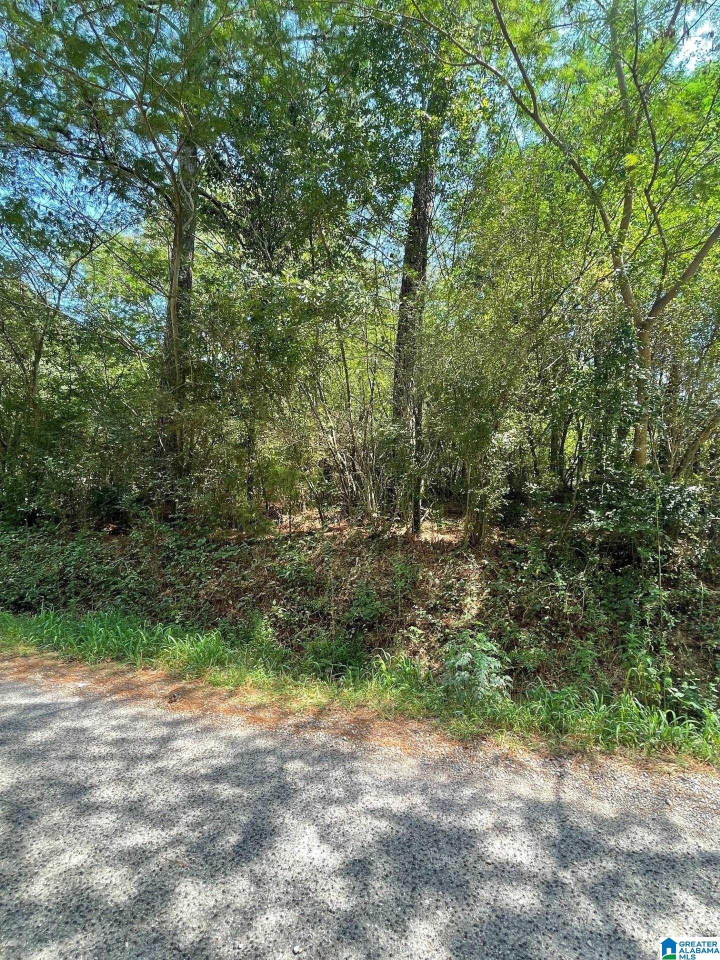 Homes for sale in Adamsville, AL | 3449 Honeycutt Road, Adamsville, AL 35005 | MLS# 21429061