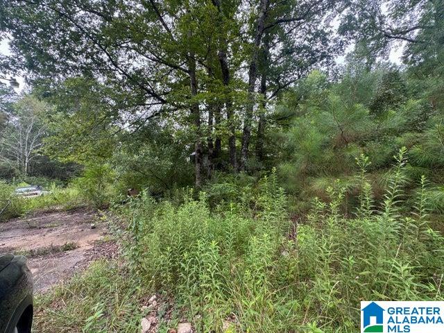 Homes for sale in Nauvoo, AL | 204 County Road, Nauvoo, AL 35578 | MLS# 21429083