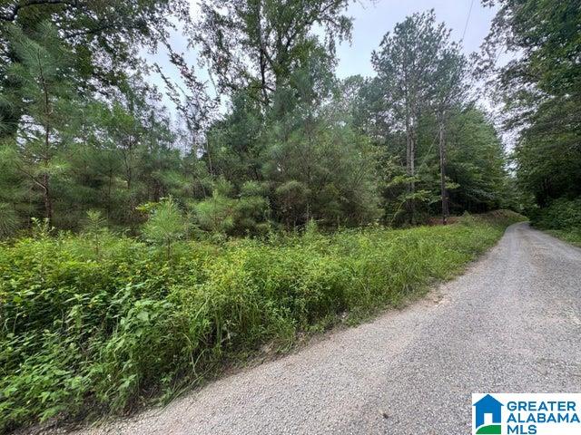 Homes for sale in Nauvoo, AL | 204 County Road, Nauvoo, AL 35578 | MLS# 21429083