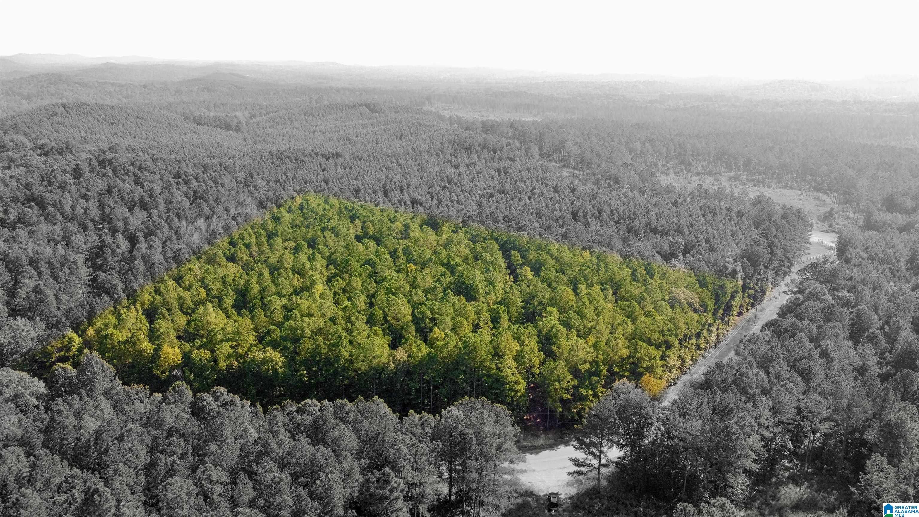 Homes for sale in Pell City, AL | 520 Sweet Apple Road, Pell City, AL 35128 | MLS# 21429101