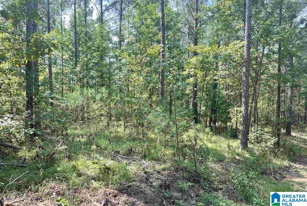 Homes for sale in Pell City, AL | 520 Sweet Apple Road, Pell City, AL 35128 | MLS# 21429101