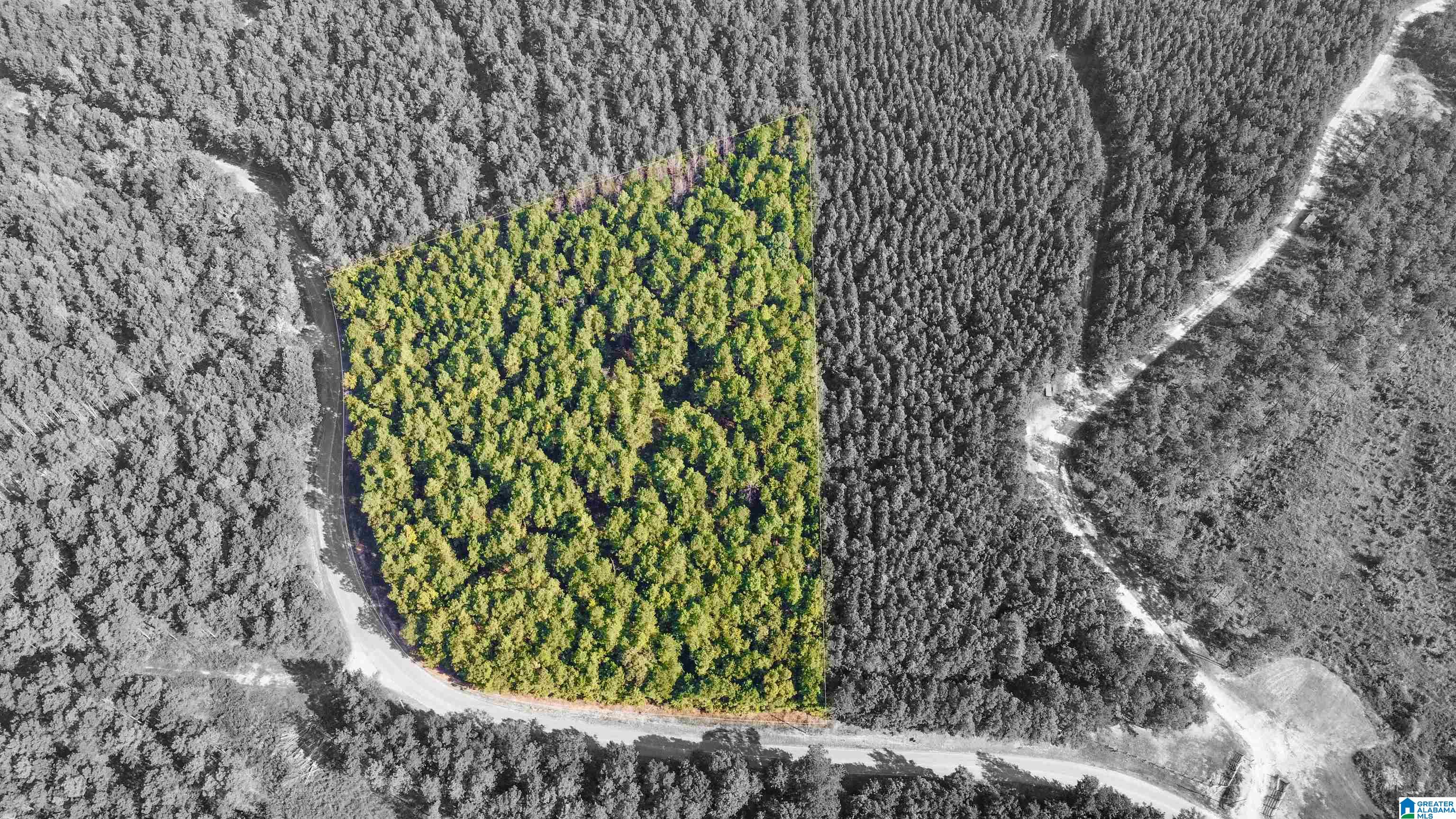 Homes for sale in Pell City, AL | 520 Sweet Apple Road, Pell City, AL 35128 | MLS# 21429101