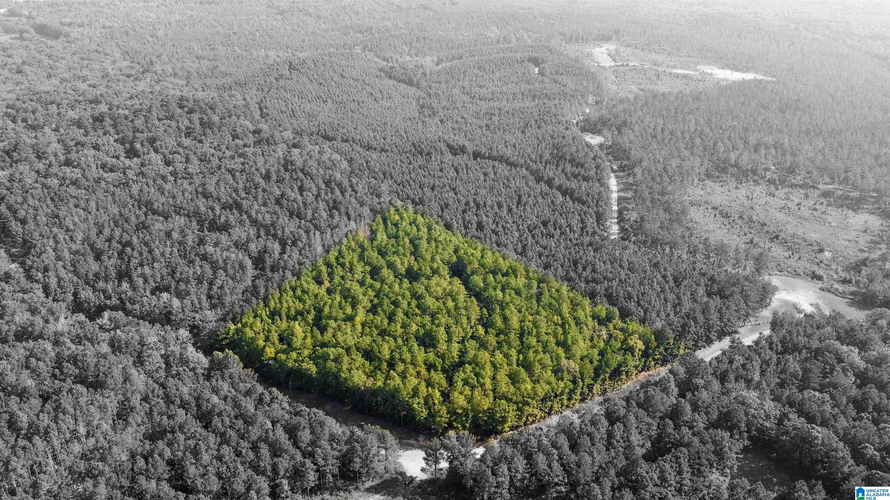 Homes for sale in Pell City, AL | 520 Sweet Apple Road, Pell City, AL 35128 | MLS# 21429101