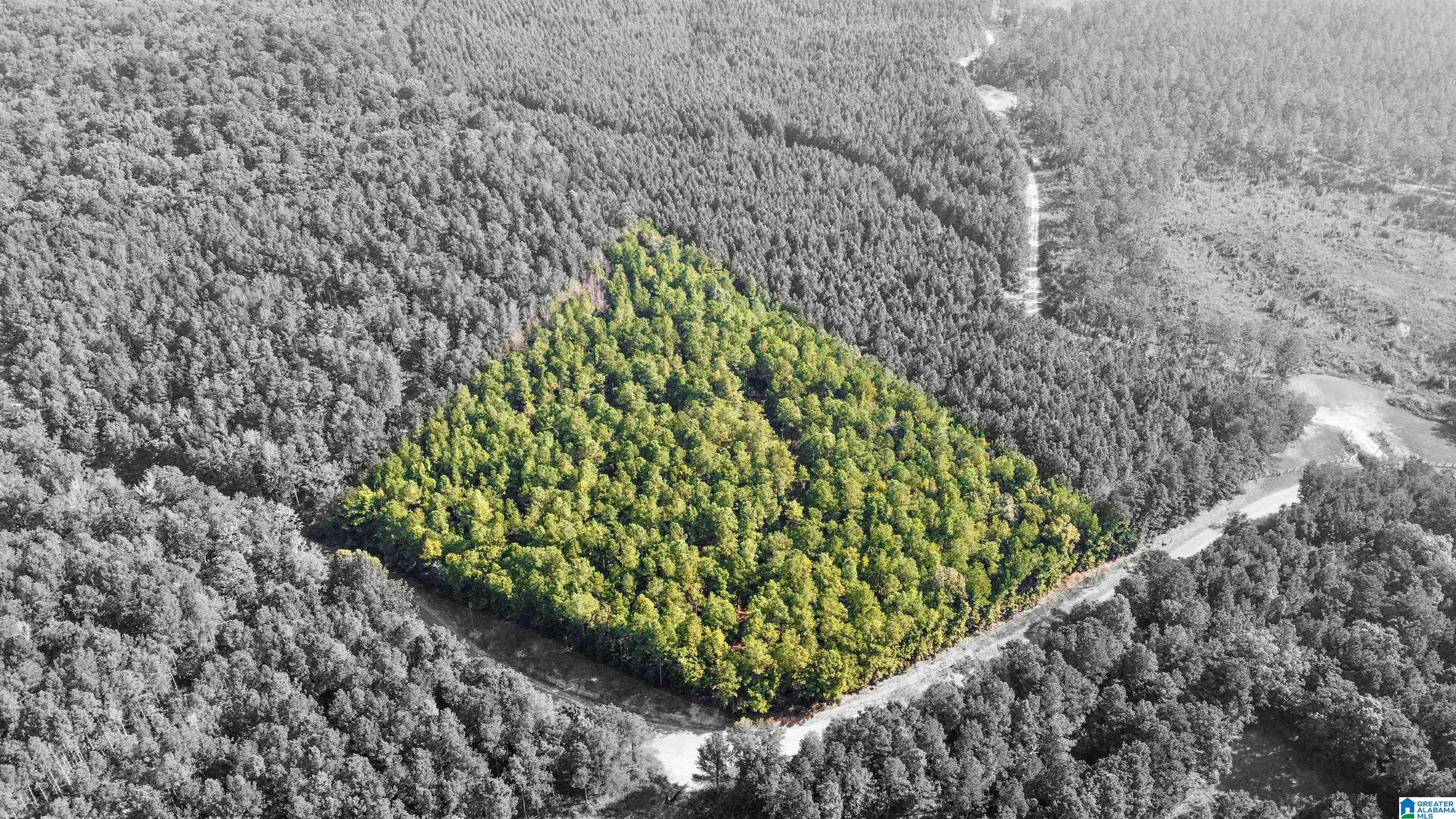 Homes for sale in Pell City, AL | 520 Sweet Apple Road, Pell City, AL 35128 | MLS# 21429101