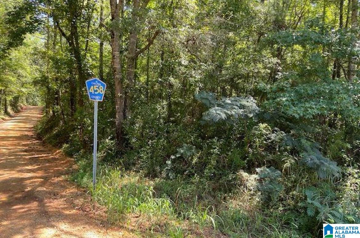 Homes for sale in Clanton, AL | 0 County Rd 458 County Road, Clanton, AL 35046 | MLS# 21429159