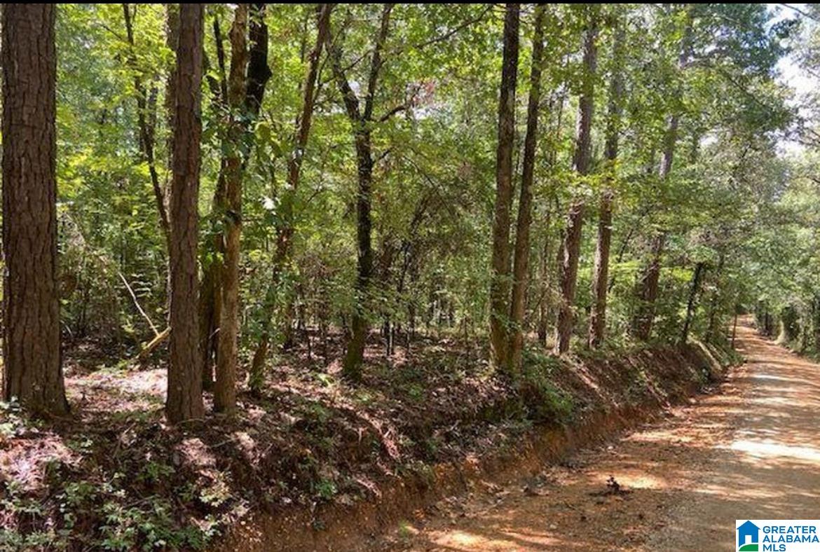 Homes for sale in Clanton, AL | 0 County Rd 458 County Road, Clanton, AL 35046 | MLS# 21429159